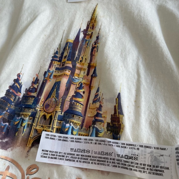 Walt Disney World 50th Anniversary Oversized Crop Top, Size Medium - Picture 6 of 10
